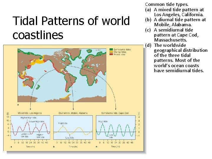 Tidal Patterns of world coastlines Common tide types. (a) A mixed tide pattern at