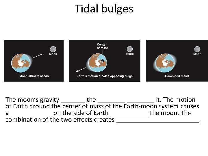 Tidal bulges The moon’s gravity _______ the ________ it. The motion of Earth around