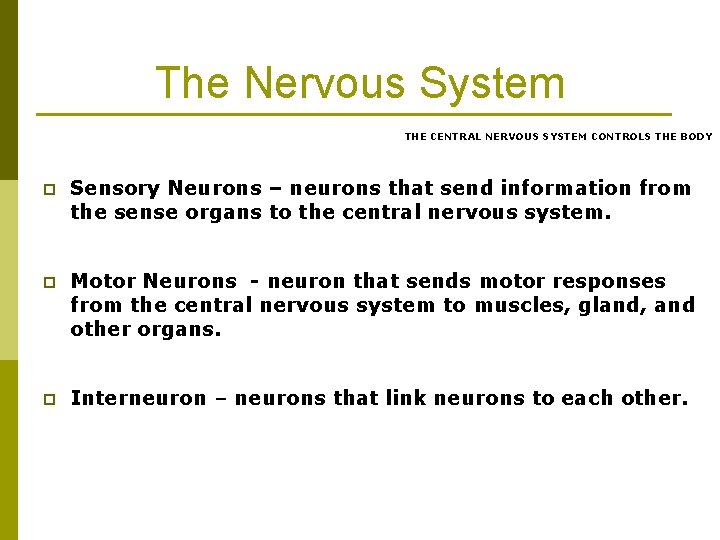 The Nervous System THE CENTRAL NERVOUS SYSTEM CONTROLS THE BODY p Sensory Neurons –