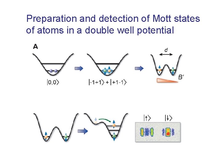 Preparation and detection of Mott states of atoms in a double well potential Preparation and detection of Mott states of atoms in a double well potential