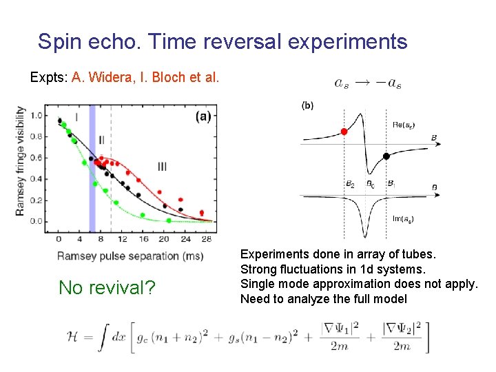 Spin echo. Time reversal experiments Expts: A. Widera, I. Bloch et al. No revival? Spin echo. Time reversal experiments Expts: A. Widera, I. Bloch et al. No revival?