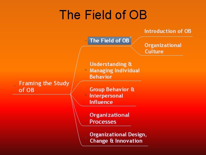 The Field of OB 