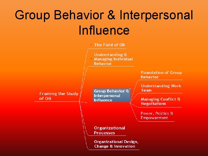 Group Behavior & Interpersonal Influence 