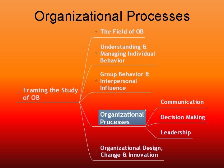 Organizational Processes 