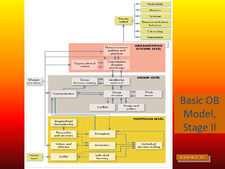 Basic OB Model, Stage II E X H I B I T 1 -7