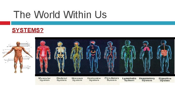 The World Within Us SYSTEMS? 