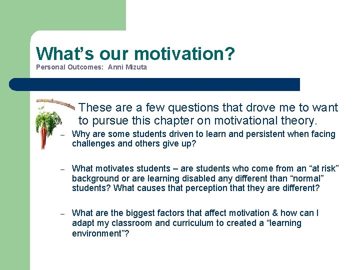 What’s our motivation? Personal Outcomes: Anni Mizuta These are a few questions that drove