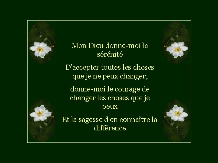 Mon Dieu donne-moi la sérénité D’accepter toutes les choses que je ne peux changer,