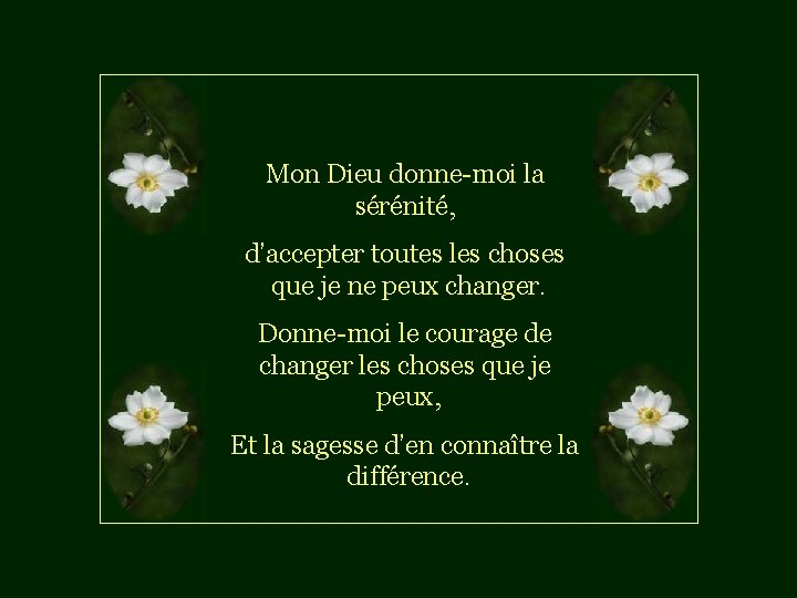Mon Dieu donne-moi la sérénité, d’accepter toutes les choses que je ne peux changer.