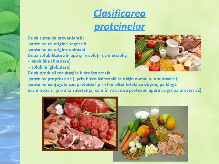 Clasificarea proteinelor După sursa de provenienţă : -proteine de origine vegetală -proteine de origine