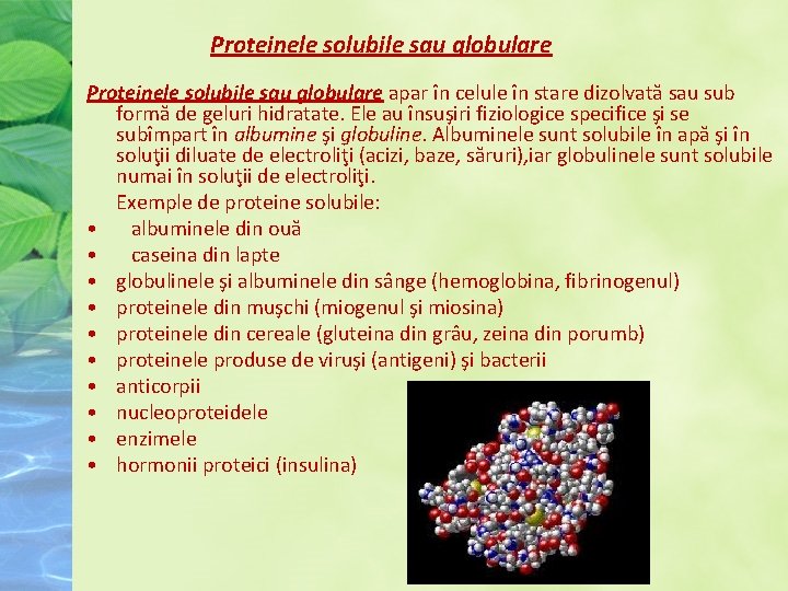 Proteinele solubile sau globulare apar în celule în stare dizolvată sau sub formă de