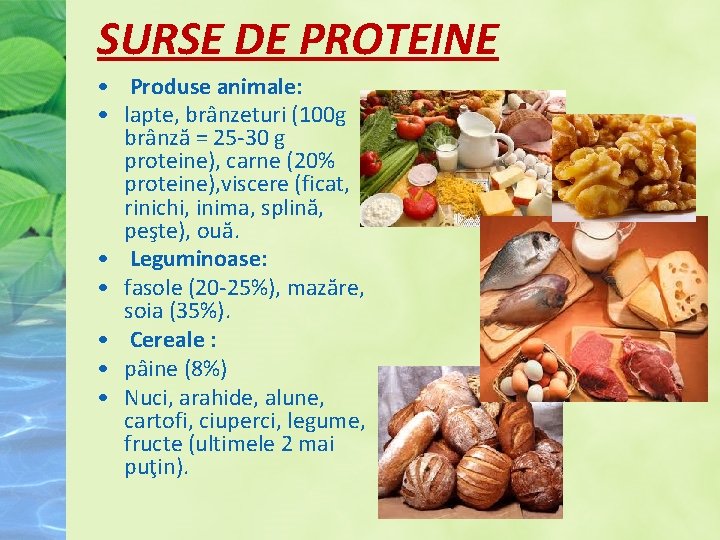 SURSE DE PROTEINE • Produse animale: • lapte, brânzeturi (100 g brânză = 25