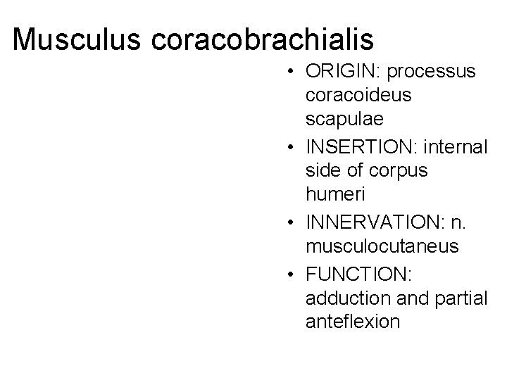 Musculus coracobrachialis • ORIGIN: processus coracoideus scapulae • INSERTION: internal side of corpus humeri
