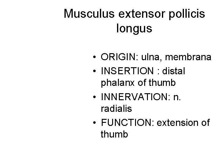 Musculus extensor pollicis longus • ORIGIN: ulna, membrana • INSERTION : distal phalanx of