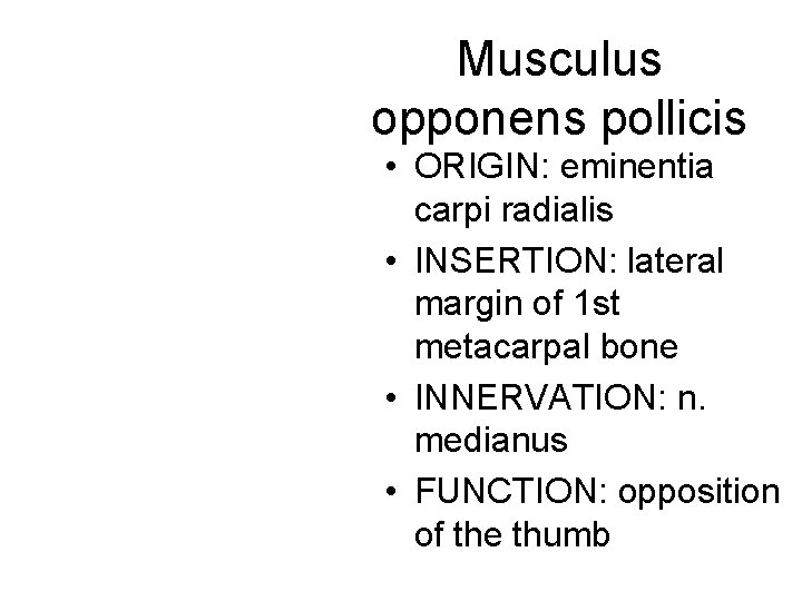 Musculus opponens pollicis • ORIGIN: eminentia carpi radialis • INSERTION: lateral margin of 1