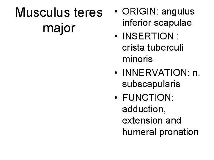 Musculus teres major • ORIGIN: angulus inferior scapulae • INSERTION : crista tuberculi minoris