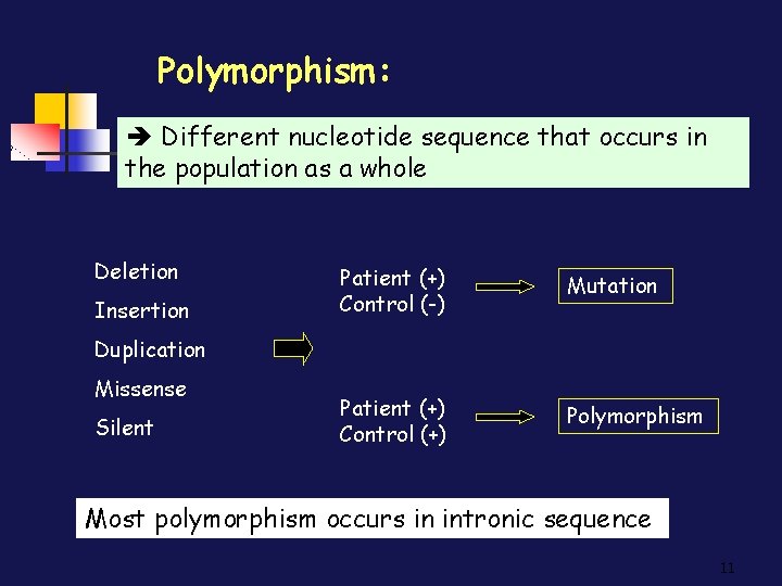 Polymorphism: Different nucleotide sequence that occurs in the population as a whole Deletion Insertion