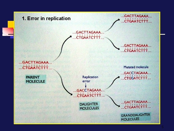 1. Error in replication 5 