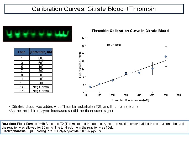 Calibration Curves: Citrate Blood +Thrombin Calibration Curve in Citrate Blood 18 R 2 =