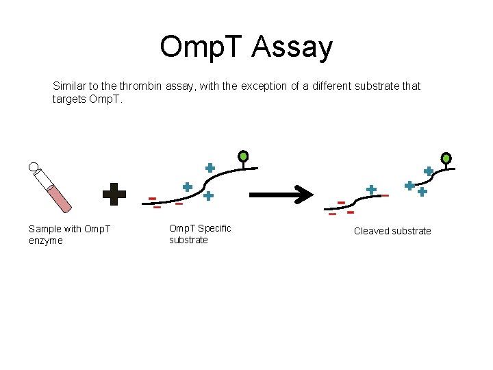 Omp. T Assay Similar to the thrombin assay, with the exception of a different