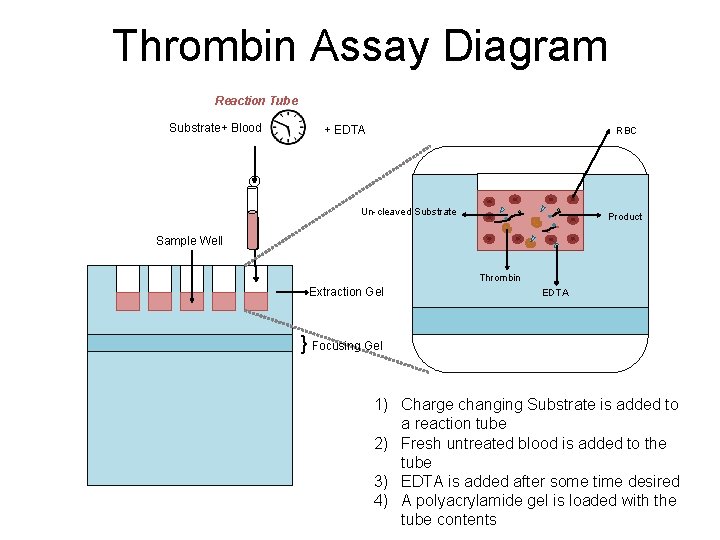 Thrombin Assay Diagram Reaction Tube Substrate+ Blood + EDTA RBC Un-cleaved Substrate Product Sample