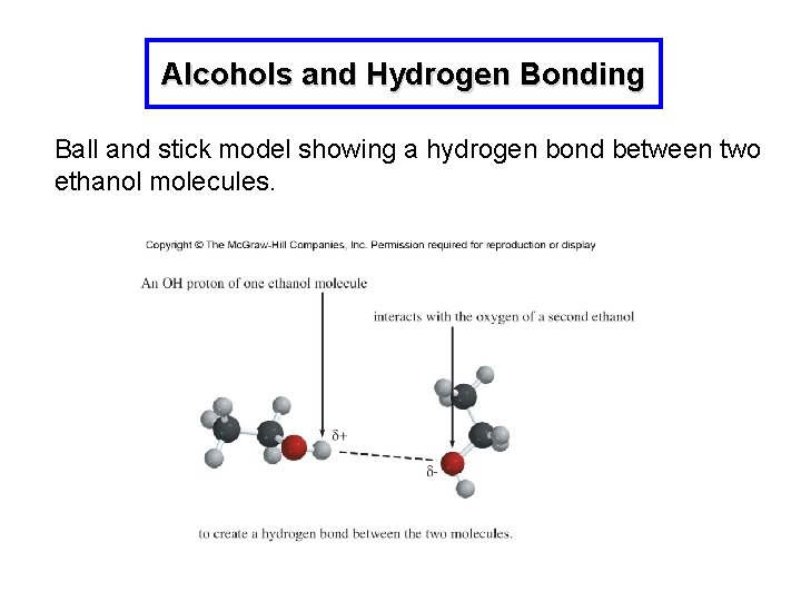 Alcohols and Hydrogen Bonding Ball and stick model showing a hydrogen bond between two