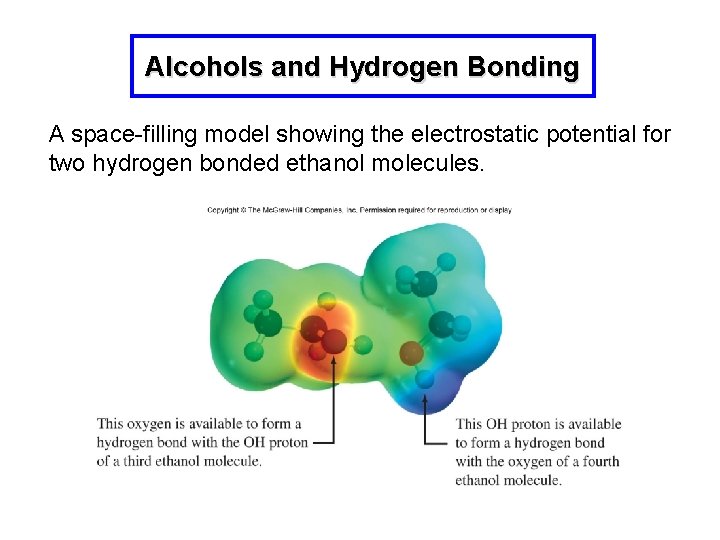 Alcohols and Hydrogen Bonding A space-filling model showing the electrostatic potential for two hydrogen