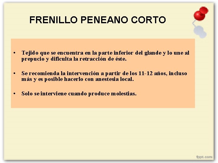 FRENILLO PENEANO CORTO • Tejido que se encuentra en la parte inferior del glande