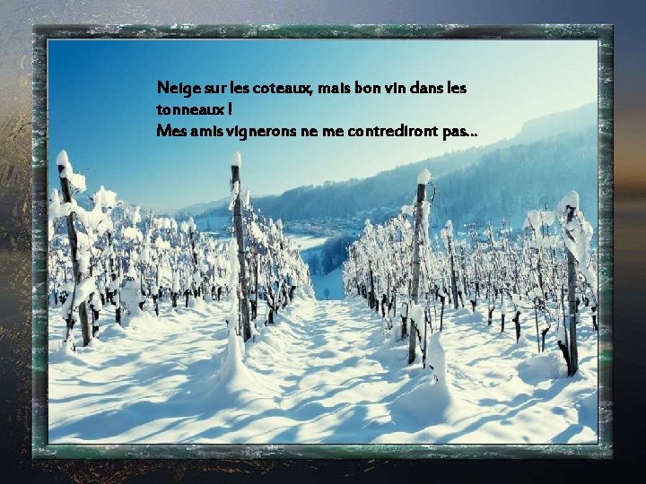 Neige sur les coteaux, mais bon vin dans les tonneaux ! Mes amis vignerons