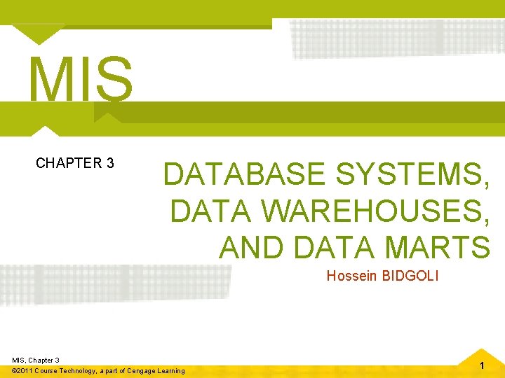 MIS CHAPTER 3 DATABASE SYSTEMS, DATA WAREHOUSES, AND DATA MARTS Hossein BIDGOLI MIS, Chapter