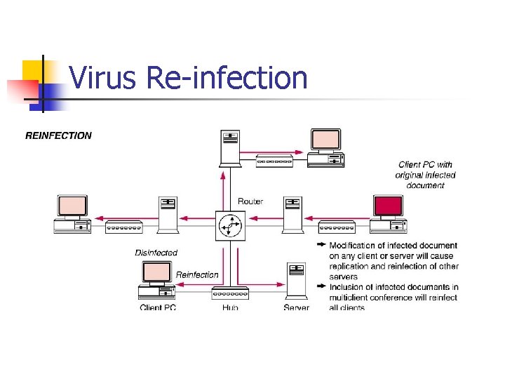 Virus Re infection Virus Re infection