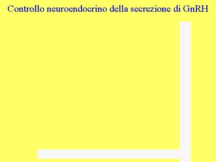 Controllo neuroendocrino della secrezione di Gn. RH 