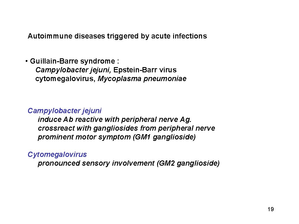 Autoimmune diseases triggered by acute infections • Guillain-Barre syndrome : Campylobacter jejuni, Epstein-Barr virus