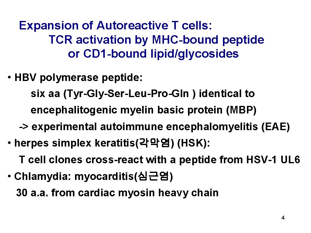 Expansion of Autoreactive T cells: TCR activation by MHC-bound peptide or CD 1 -bound Expansion of Autoreactive T cells: TCR activation by MHC-bound peptide or CD 1 -bound