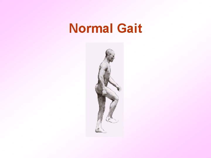 Normal Gait 