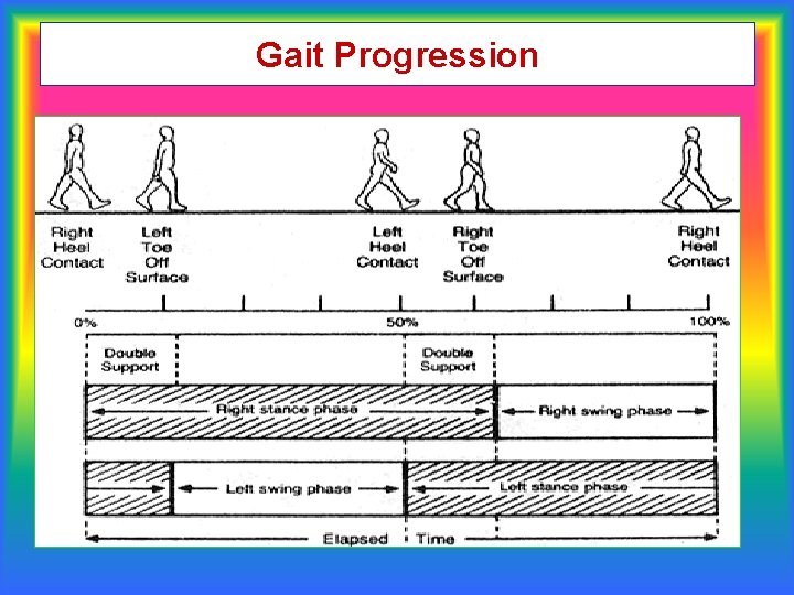 Gait Progression 