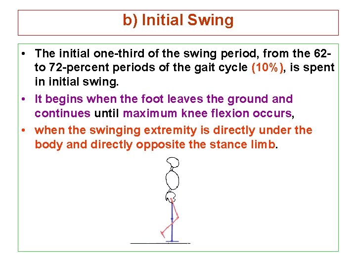 b) Initial Swing • The initial one-third of the swing period, from the 62