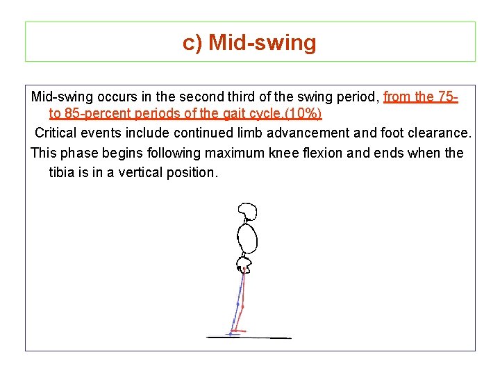 c) Mid-swing occurs in the second third of the swing period, from the 75