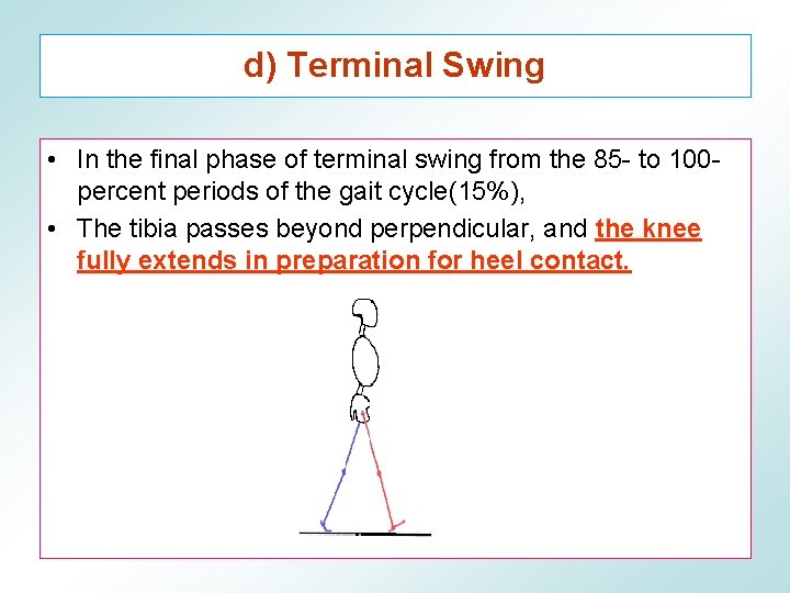 d) Terminal Swing • In the final phase of terminal swing from the 85