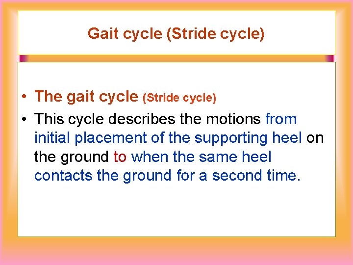 Gait cycle (Stride cycle) • The gait cycle (Stride cycle) • This cycle describes