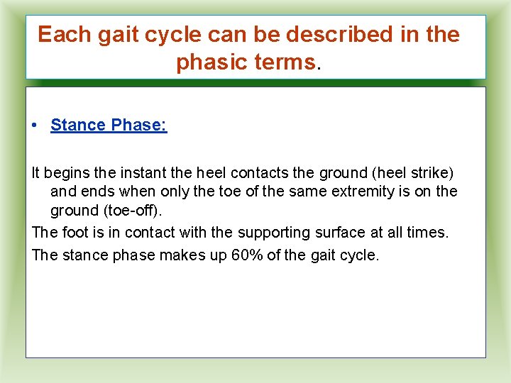 Each gait cycle can be described in the phasic terms. • Stance Phase: It