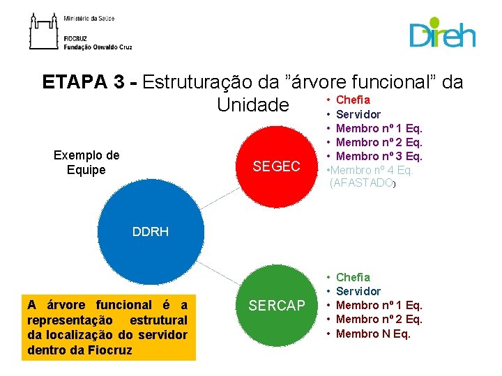 ETAPA 3 - Estruturação da ”árvore funcional” da • Chefia Unidade • Servidor Exemplo