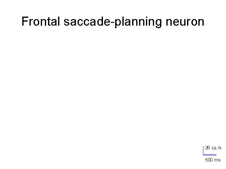Frontal saccade-planning neuron F C D T 