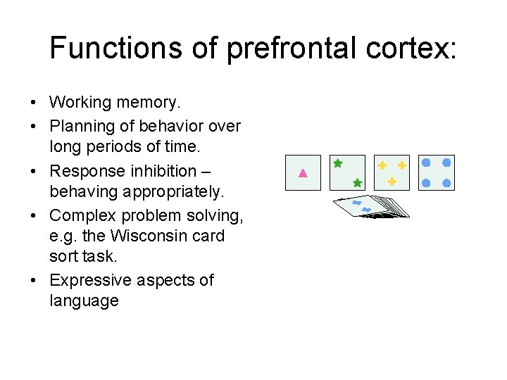 Functions of prefrontal cortex: • Working memory. • Planning of behavior over long periods