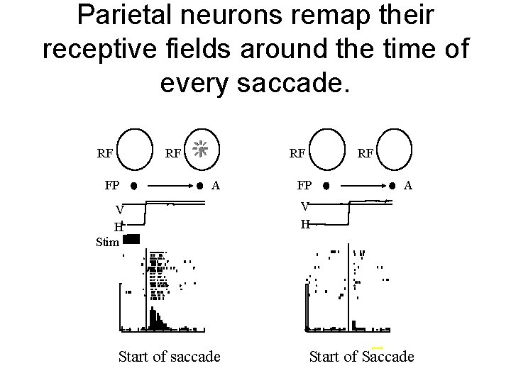 Parietal neurons remap their receptive fields around the time of every saccade. RF RF