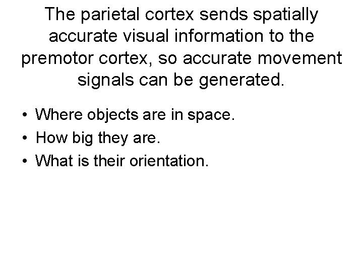 The parietal cortex sends spatially accurate visual information to the premotor cortex, so accurate