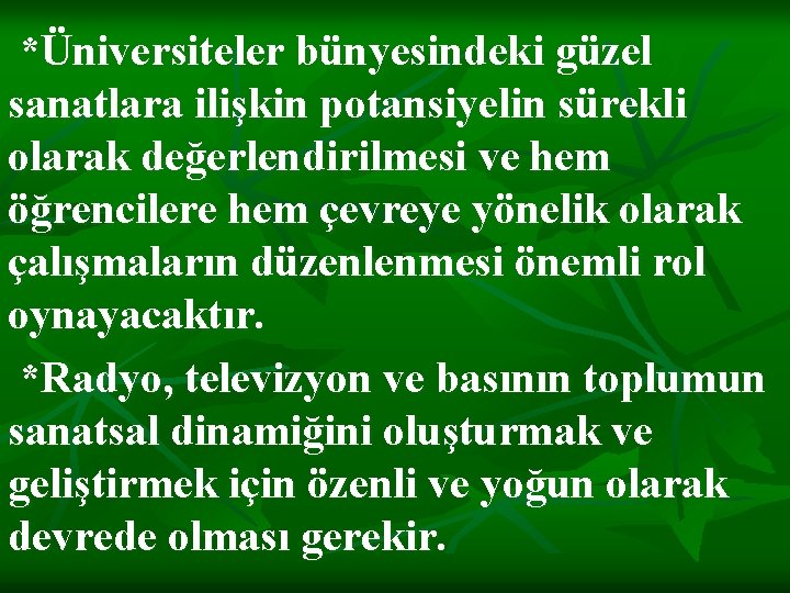 *Üniversiteler bünyesindeki güzel sanatlara ilişkin potansiyelin sürekli olarak değerlendirilmesi ve hem öğrencilere hem çevreye