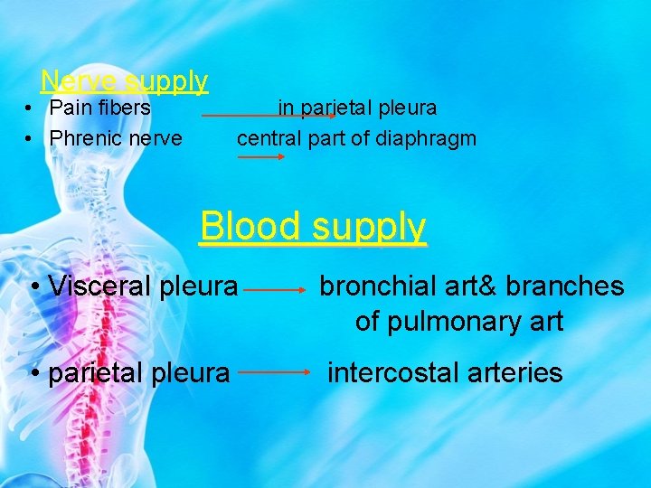 Nerve supply • Pain fibers • Phrenic nerve in parietal pleura central part of