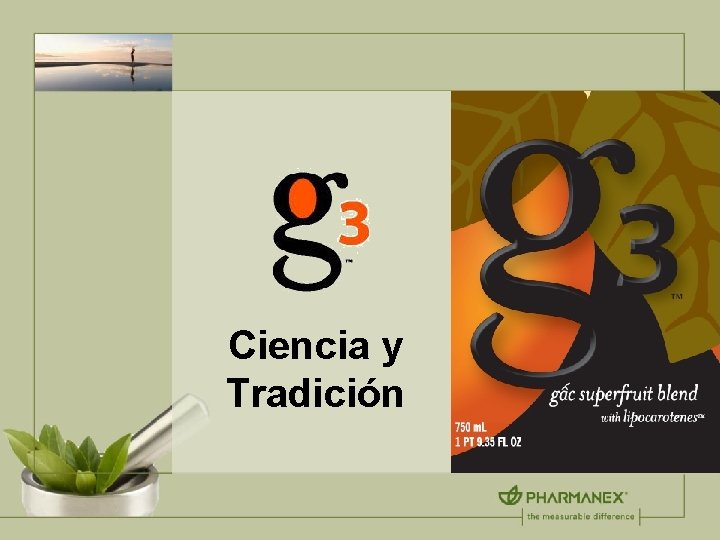 Ciencia y Tradición 
