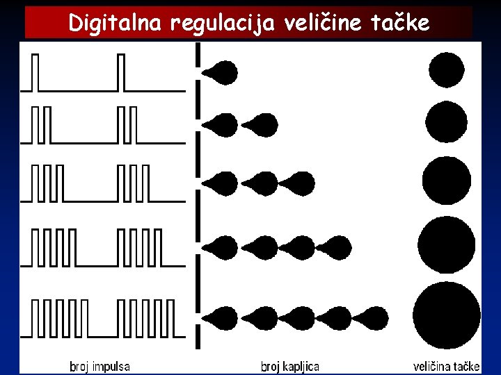 Digitalna regulacija veličine tačke 